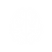 brain